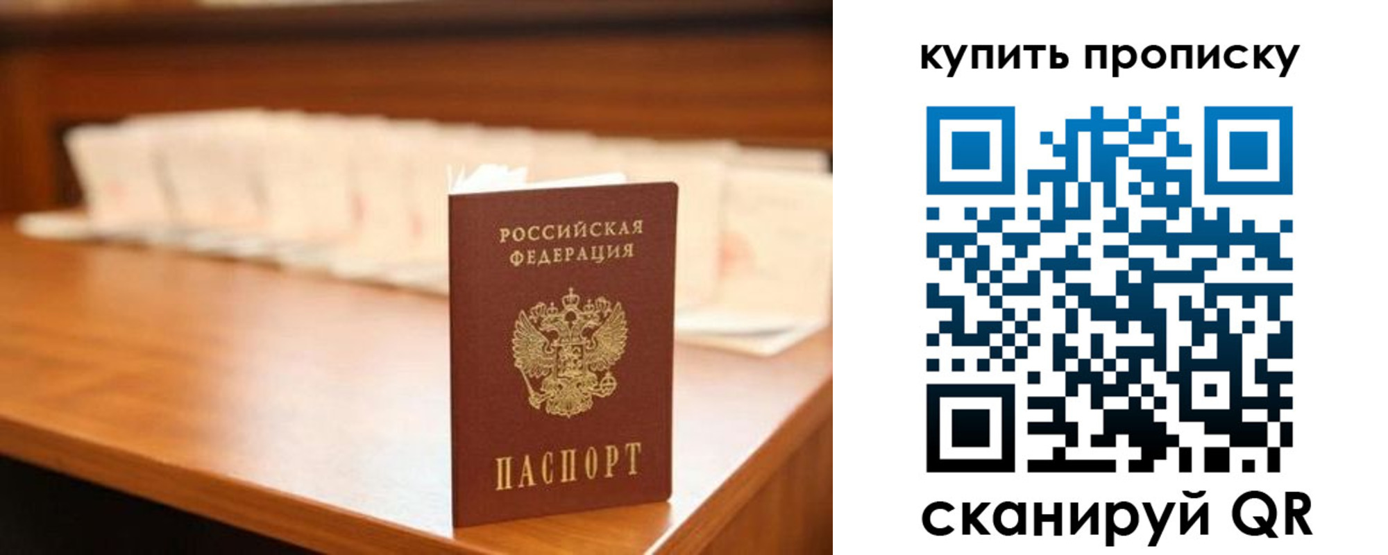 прописка 2025 в Выборге